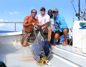 yellowfin2