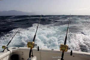 Read more about the article Blue Marlin season in Cape Verde