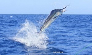 IMG_6862