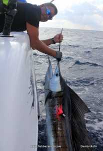 The sailfishing on Bazaruto Island is phenomenal this time of season. Some days strikes go into double figures!
