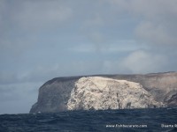 ASCENSION ISLAND – Fishing report (part 1)