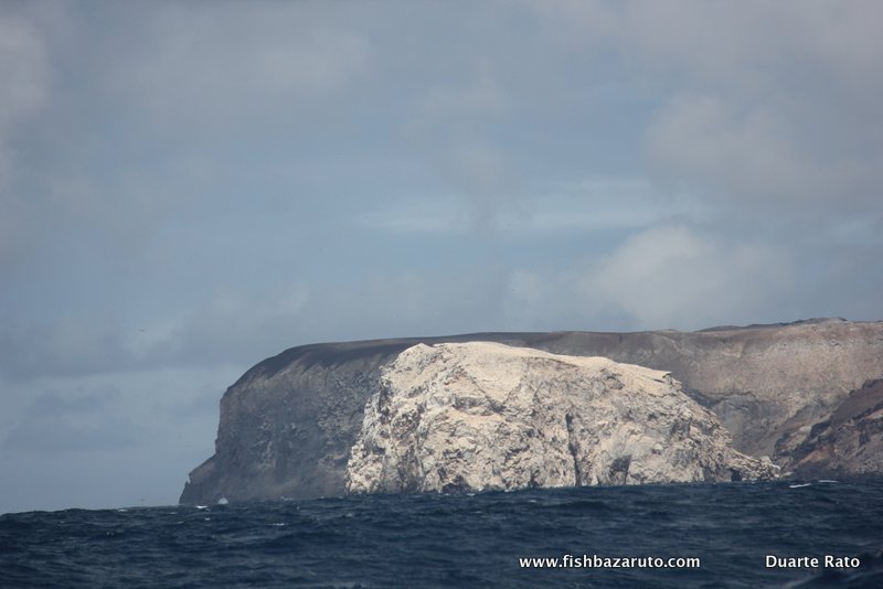 Read more about the article ASCENSION ISLAND – Fishing report (part 1)