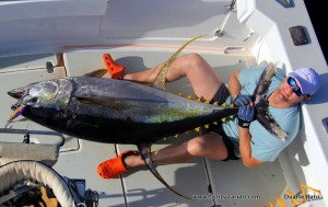 Read more about the article ASCENSION ISLAND – Fishing report (part 2)