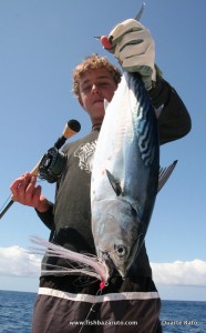 Bonito on fly...