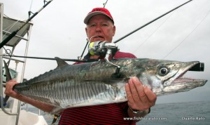 Nice Kind Mackerel (AKA cuda) on ultra light spinning tackle...