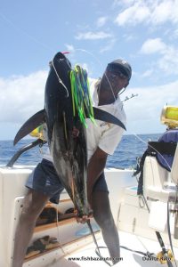 Another nice size YFT (from a triple strike) aboard VAMIZI...