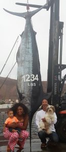 13942435_10201947886856629_1761448092_n