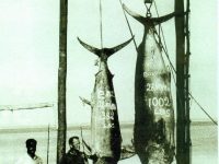 Ralph Hullet with the first ever weighted African Grander Black Marlin, caught off the Bazaruto Archipelago in October 1960