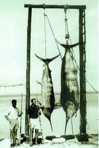 Read more about the article Bazaruto Grander Black Marlin history lesson