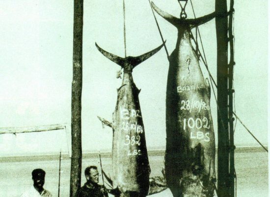 Ralph Hullet with the first ever weighted African Grander Black Marlin, caught off the Bazaruto Archipelago in October 1960