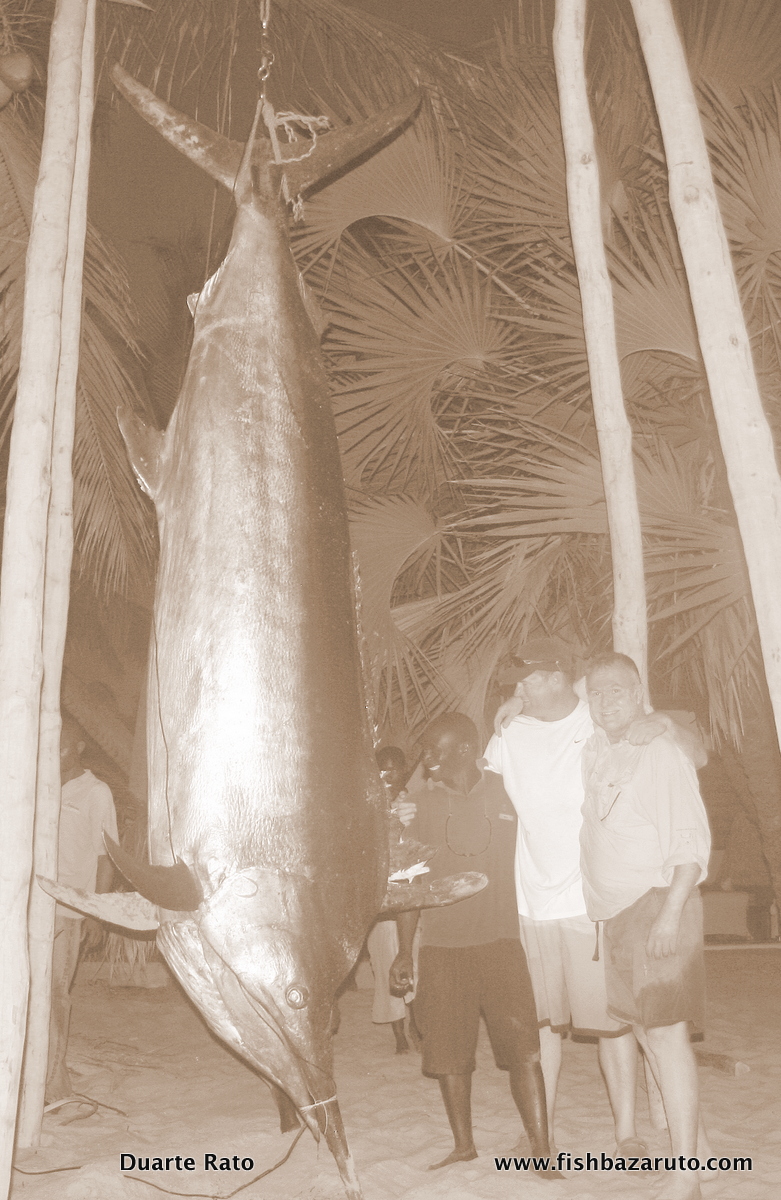 Grander Black Marlin A 1 098 lbs Black caught in 2010 aboard on capt. Duarte Vamizi by Carl Jankowitz. The fish was caught on a lure and was tail wrapped making it impossible to release.