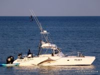 The Supercat 38's have revolutionised fishing forever. Super stable platforms with all the amenities