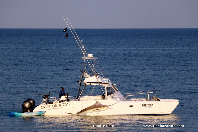DROP YOUR RODS & GAME CHANGER are both 38´ft SuperCat’s which where custom built by the Schultz family from Supercat marine in Port Alfred, South Africa.