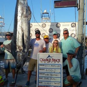 Congratulations to the Done Deal´s for their winning 600 pound fish in the Gulf of Mexico that won the 2017 Blue Marlin World Cup