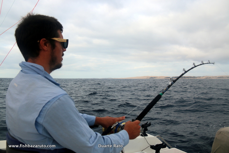 After some proper guidance and practice on a few Bull and hammerhard sharks Craig took to the chair like a pro and made short work of the Black and Blue Marlin he released on his visit to Bazaruto.