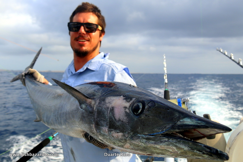 Craig's own record Wahoo. These things dominate out at Baz on some days