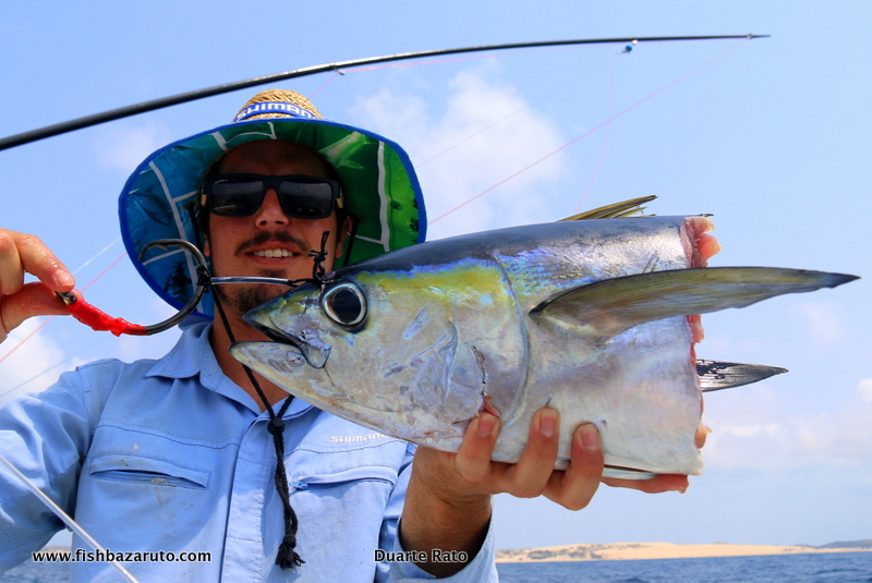 The taxman features quite high up in the food chain around Bazaruto. Luckily the lure came back on this luckless YFT!