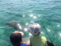 Duarte Jnr. and Kien watching a dugong in awe. The exquisite Bazaruto Archipelago…