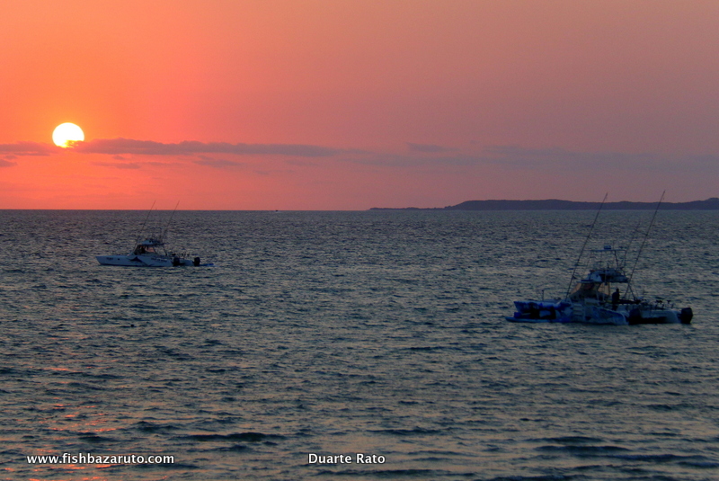 VDP´s two 38ft Supercat Sportfisher´s leaving Vilankulos at sunrise for another day´s fishing out of the Bazaruto Archipelago.