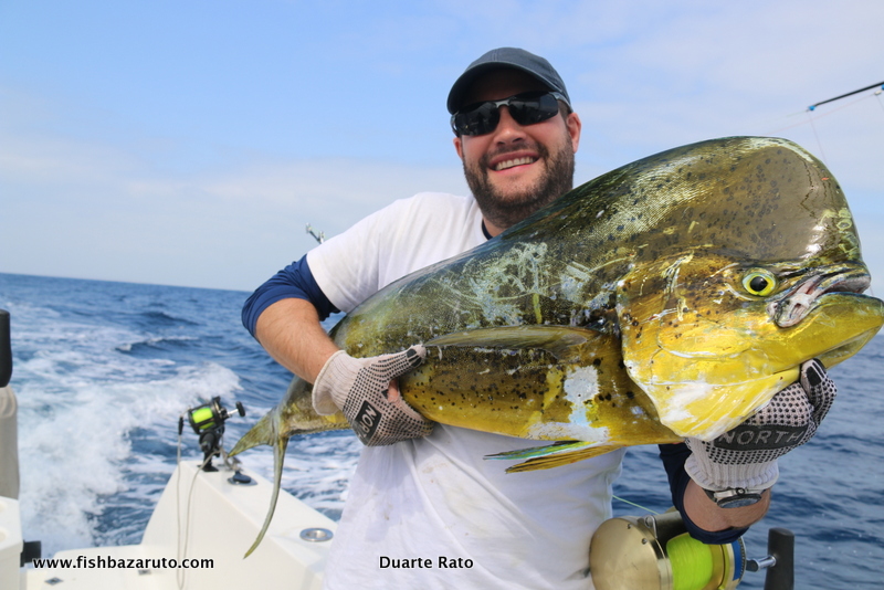 Whilst chasing Black Marlin, all sorts of other species are encountered, in the waters off Baz
