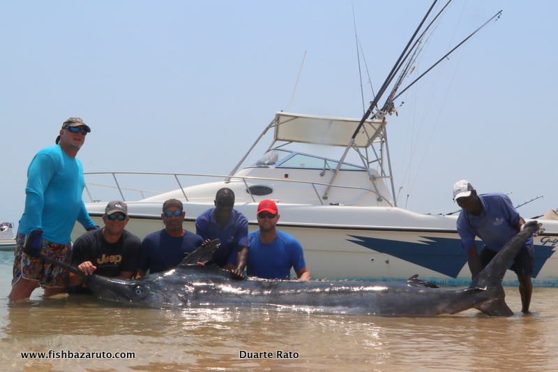 Ryan Chalmers' biggest marlin to date