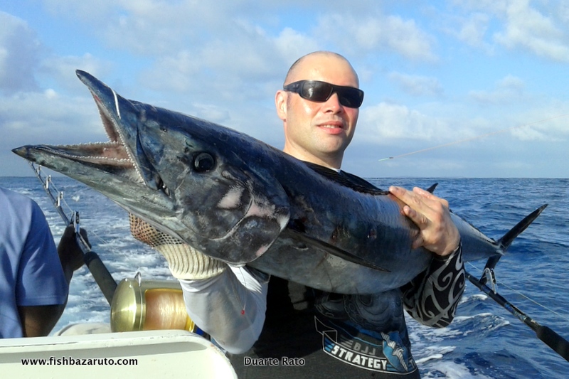 We have had some amazing wahoo fishing the last three years and August to September was incredible. We then caught them here and there throughout the Season but in late November they once again appeared in good numbers and size for a few days!