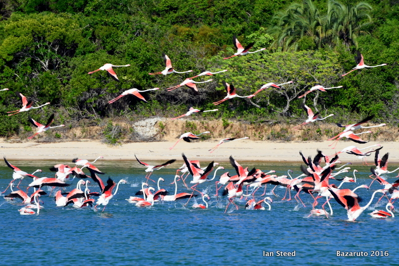 February in Bazaruto