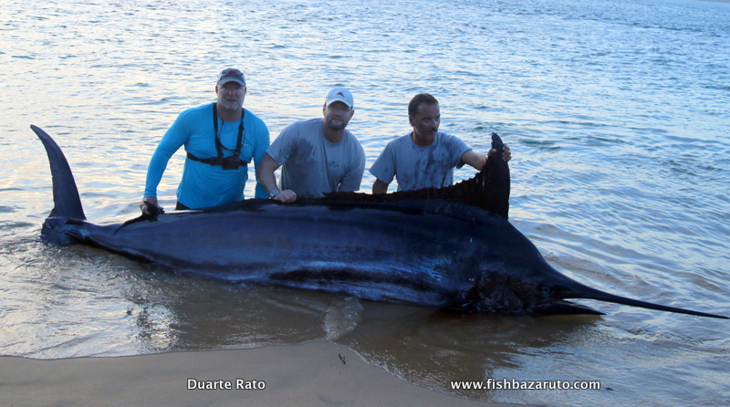 Read more about the article Mozambique’s first Grander Blue Marlin?