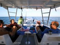 Waiting for the Yellowfin Tuna bite aboard the ever comfortable 38ft SuperCat