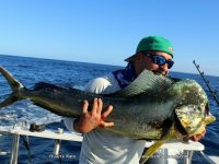 Dorado have been around in pretty good numbers and fairly good sizes