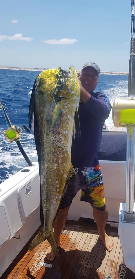 A big 24.5 kg dorado caught aboard Jam Packed and a #250 pound Black on a lure for Roger MacDonald´s Alladins