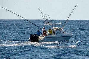 Read more about the article Bazaruto´s late September Marlin Bite…