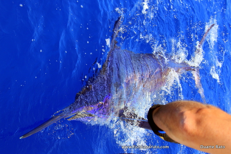 You are currently viewing Catching your first marlin: by Doug and Ryan