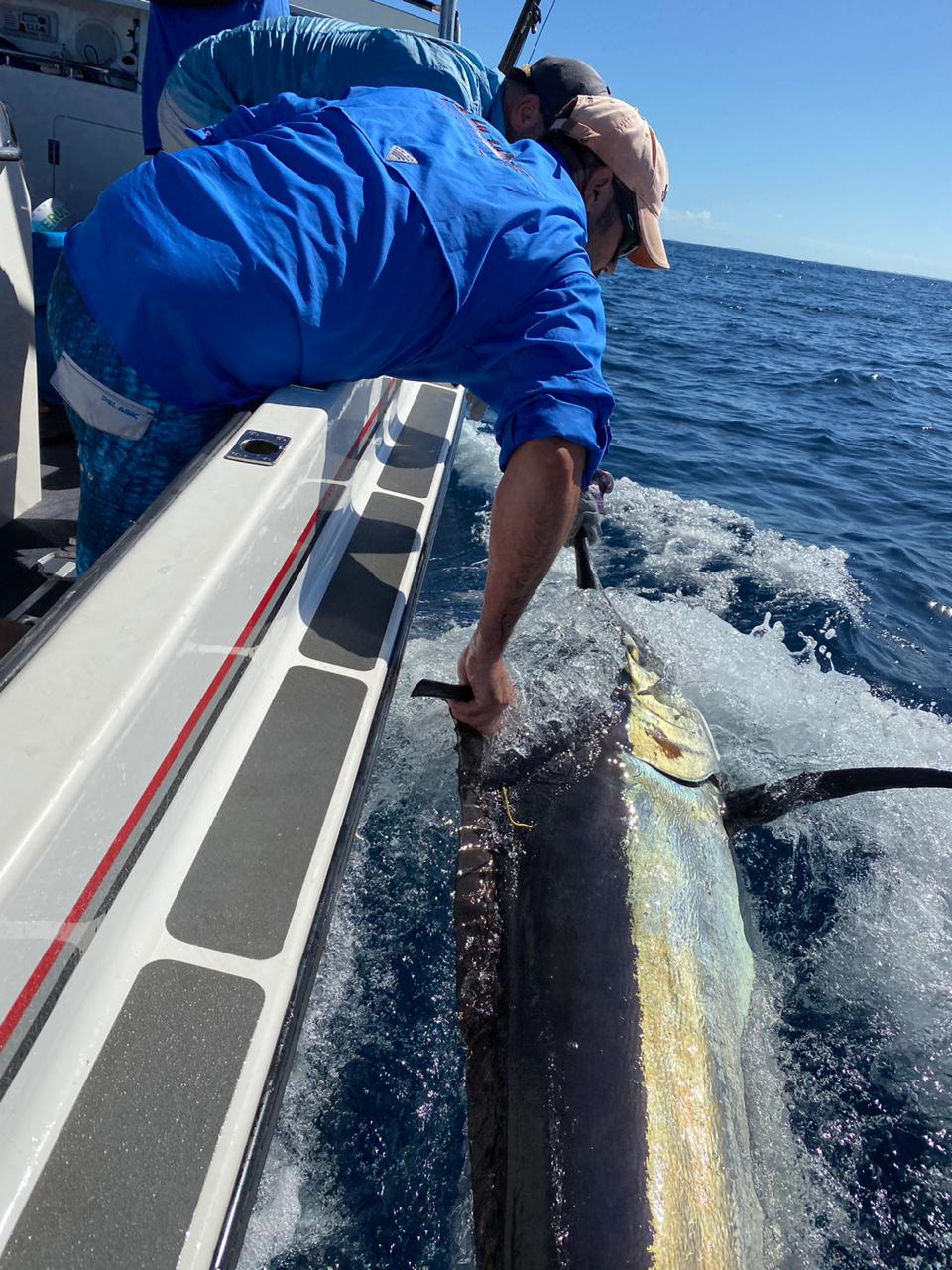 Catching your first marlin with fishbazaruto.com