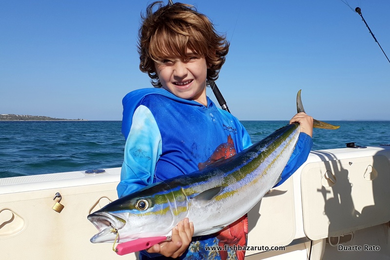 You are currently viewing Mozambique sportfishing is back on!