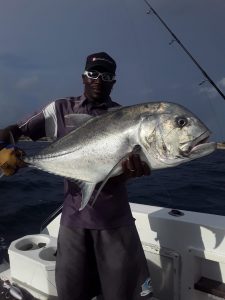 Read more about the article GT´s popping and jigging – Mozambique early year report…