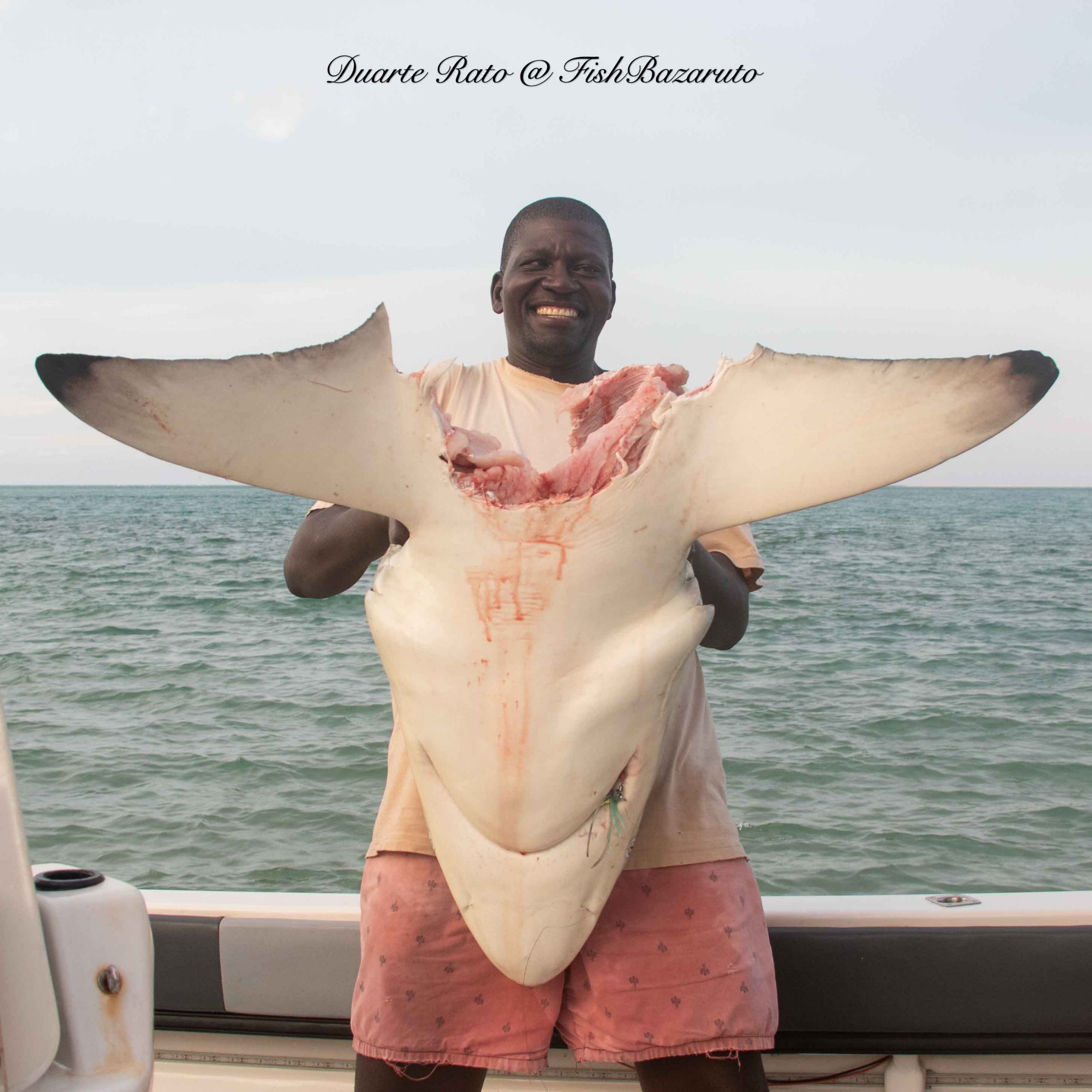 When a shark gets sharked Bazaruto Island