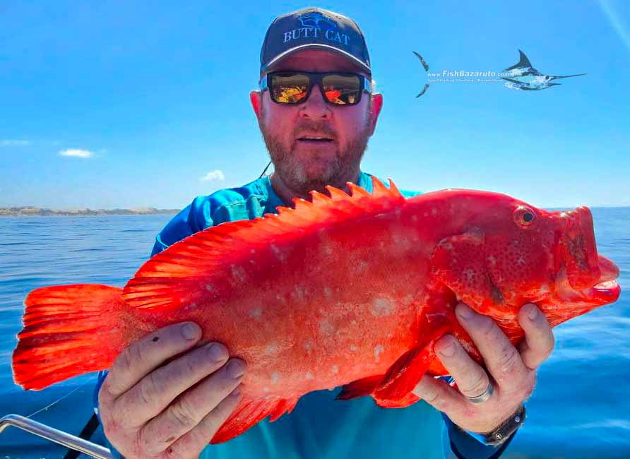 514323293_10239352690214161_4516031842091920095_n-jpg