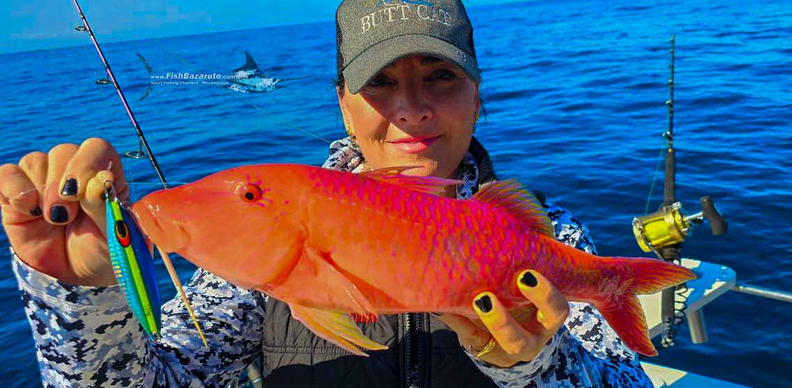 514920287_10239352688054107_6188032490179440923_n-jpg