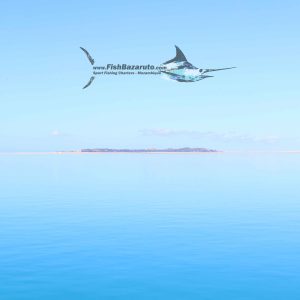 Read more about the article Flat Day Fun in Bazaruto