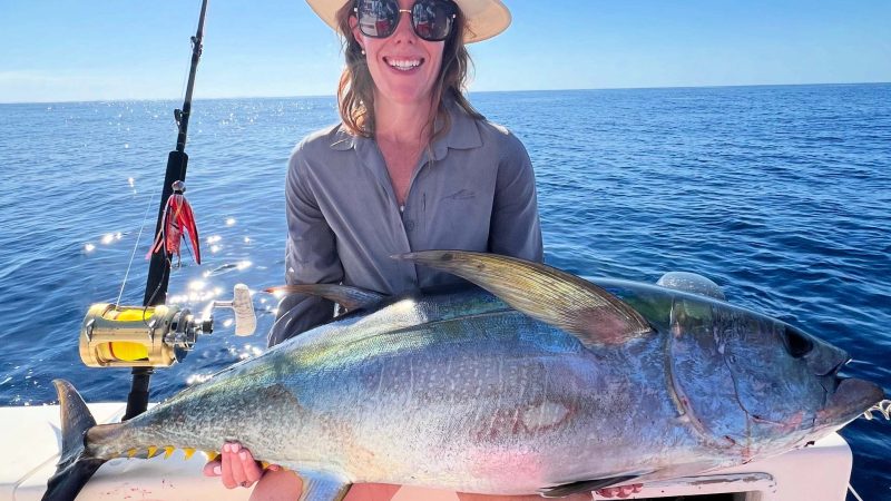 BIG Yellowfin Tuna