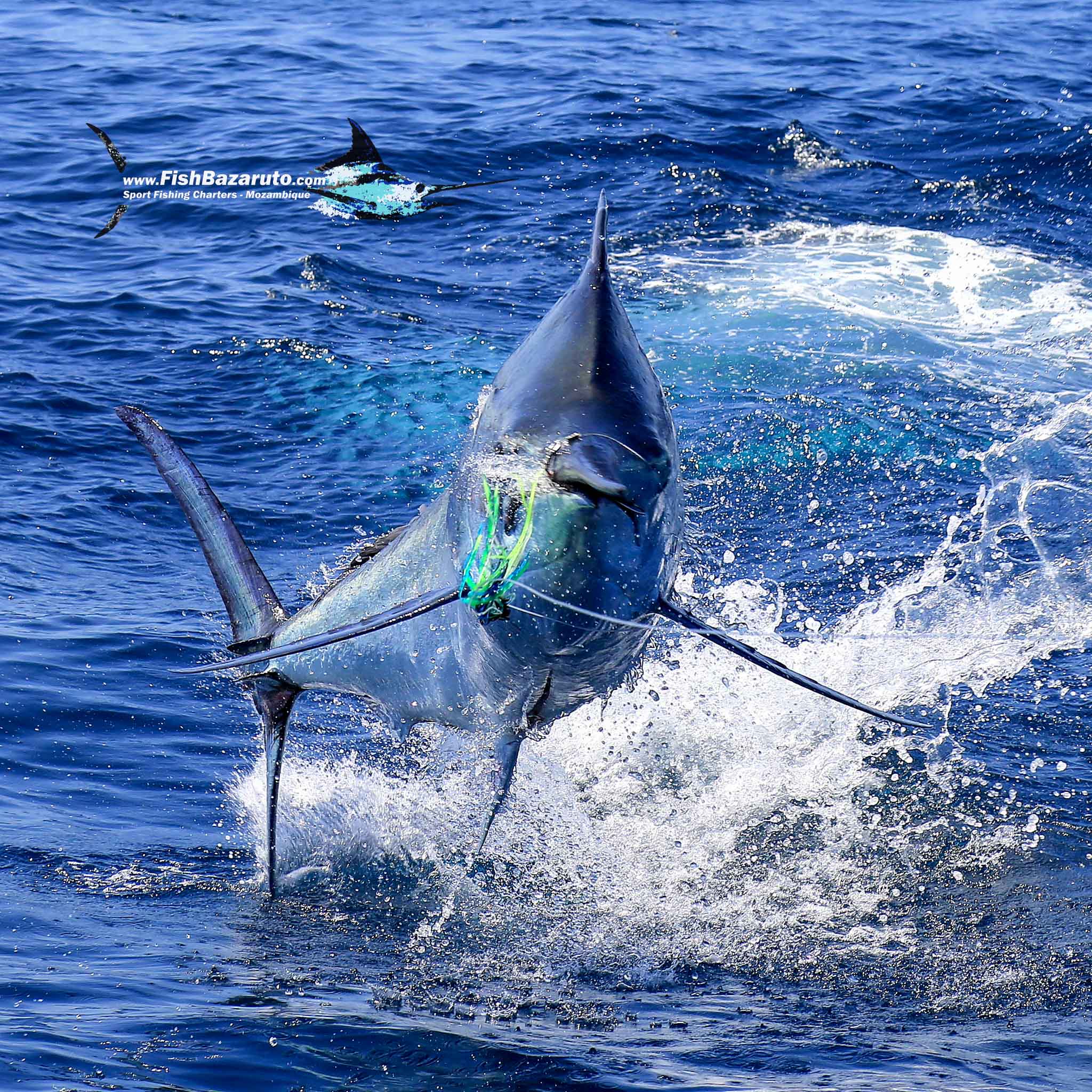 You are currently viewing Site Report 30.03.26 – Last available slot’s for Bazaruto’s Heavy Tackle Season 2026