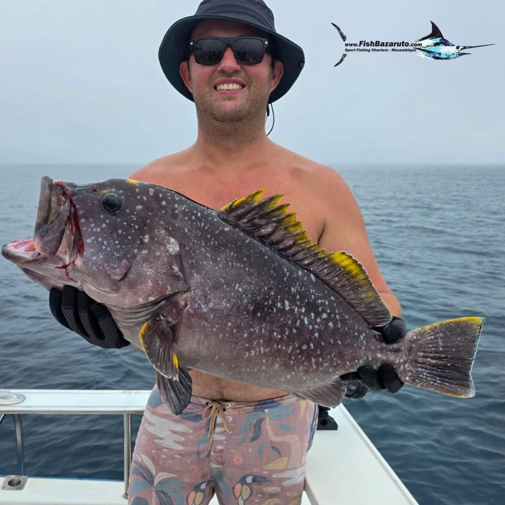 Yellowfin Grouper by FishBazaruto