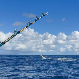 Read more about the article Bazaruto Blue Marlin Winter Bite