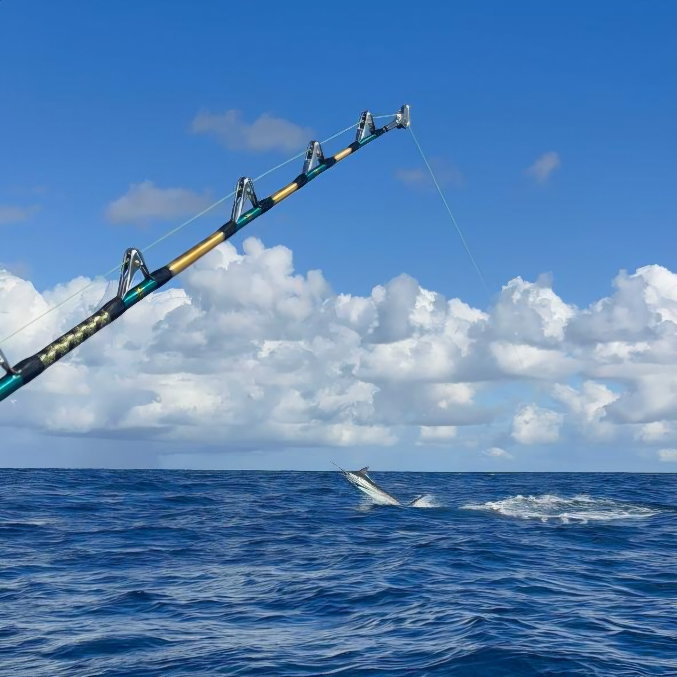 You are currently viewing Bazaruto Blue Marlin Winter Bite