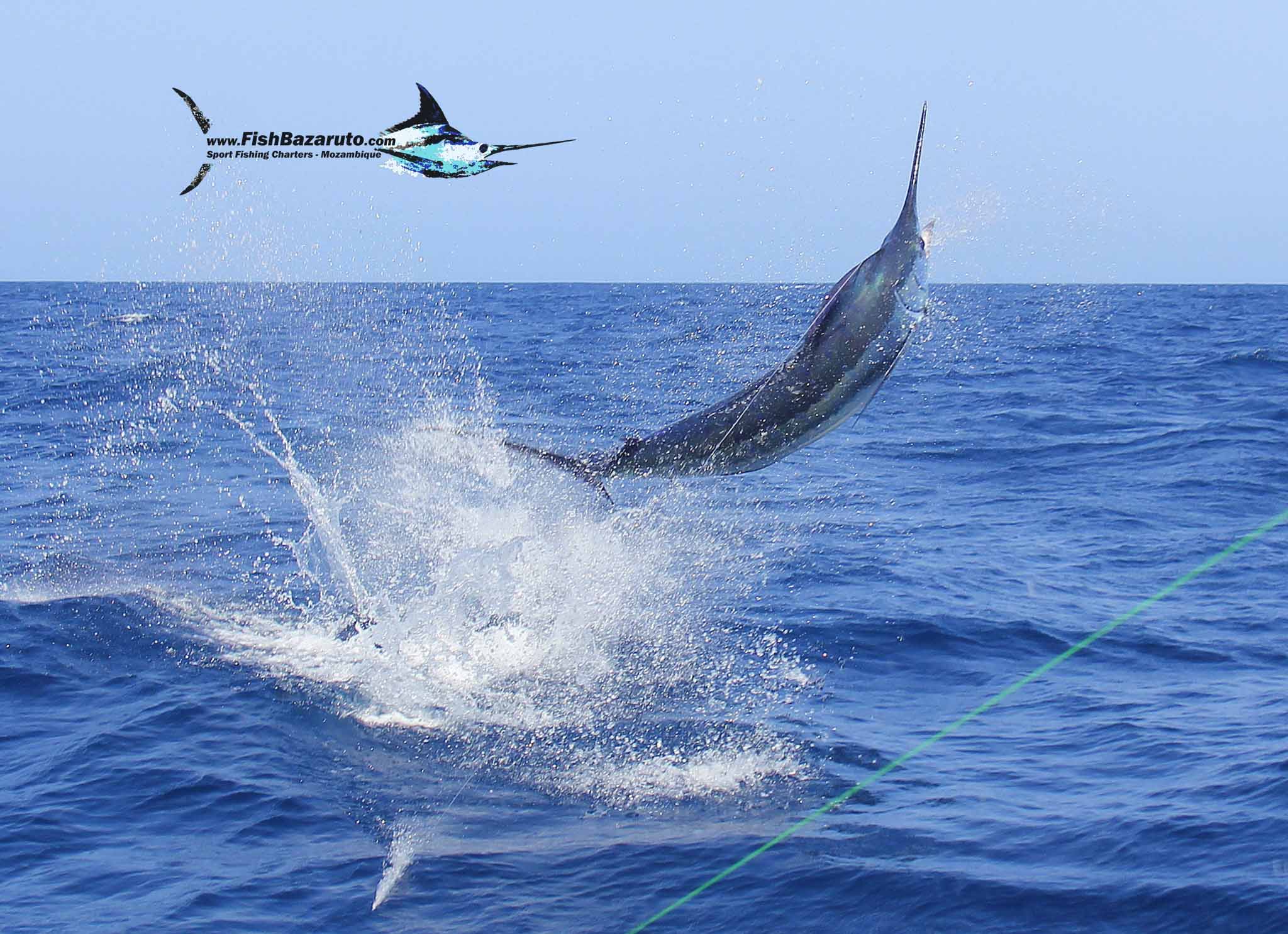 Bazaruto Marlin Fishing Update End August 2026