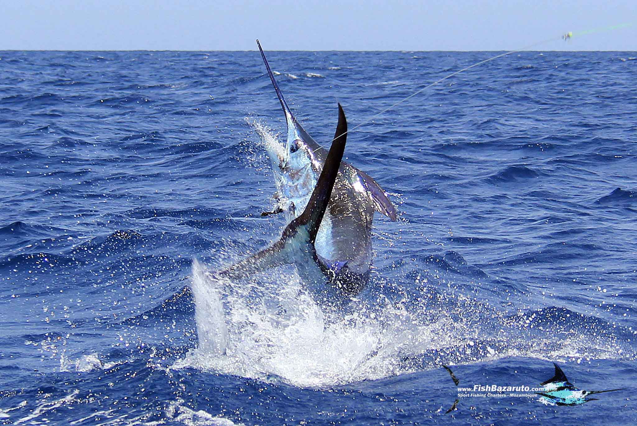 Bazaruto Late September ’26 Fishing report