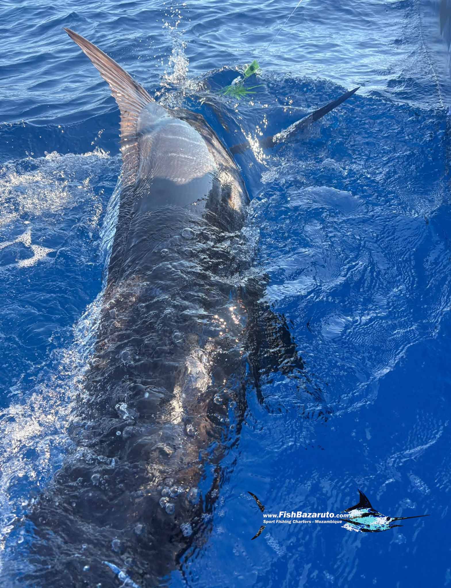 Marlin First-timers Aplenty at Bazaruto Recently!