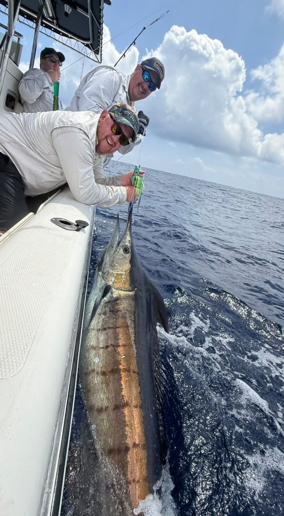 Salt Shaker Blue Marlin Release October 2026