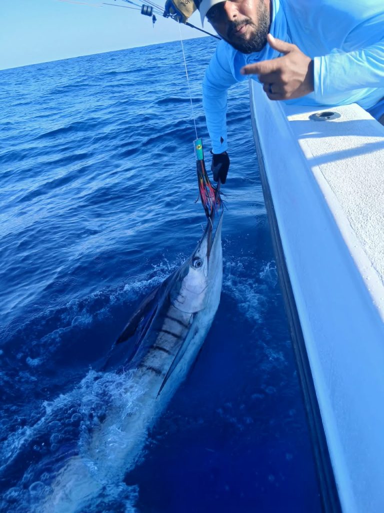 Striped Marlin by Vamizi October 2026 by FishBazaruto
